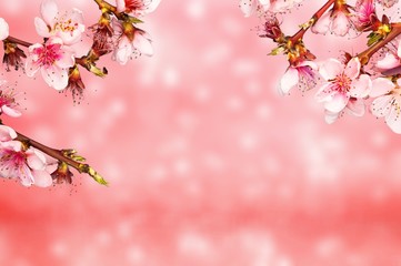 Background.