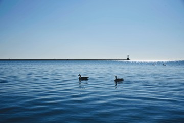 Obraz premium fishing in the sea