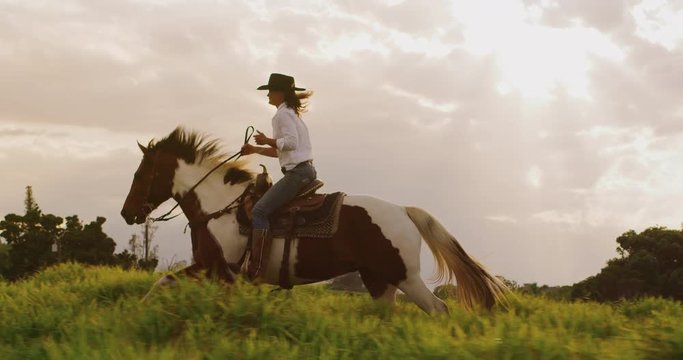 Cowgirl horseback riding at sunset in green field, brown and white horse cantering with rider