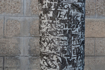 love carvings on a tree, Paris, France