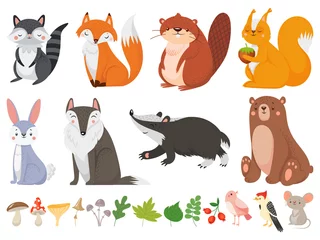 Glasschilderij Bosdieren Grappige houten dieren. Wild bos dier, gelukkig bos vos en schattige eekhoorn vector cartoon afbeelding set