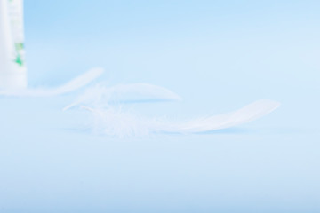 A lot of white feathers on a blue background. Light shades and selective focus. Copy space.