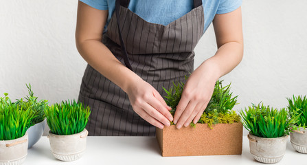 Woman in apron transplanting grassy plants, taking care