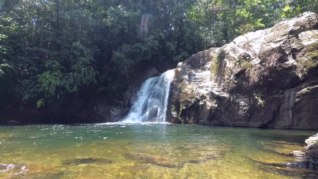 Split level - School of two species of fish swims under waterfall. Slender rasbora (Rasbora daniconius) and Side-striped barb (Systomus pleurotaenia) endemic to Sri Lanka, Sinharaja Forest Reserve