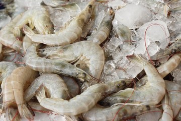 Fresh shrimp for cooking at street food