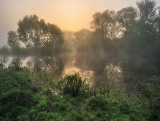 spring morning. foggy sunrise in the river valley. picturesque morning