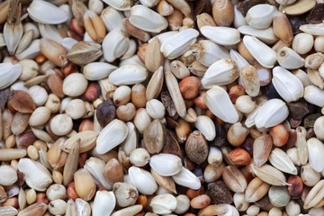 Mixture of grains and seeds