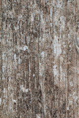 Obraz premium Old and dirty cement surfaces