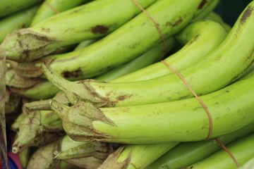 Fresh eggplant green organic at street food