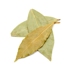 bay leaves isolated