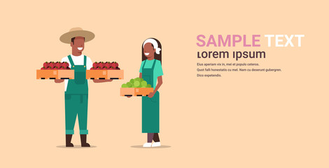 couple farmers holding boxes with red green tomatoes african american man woman harvesting vegetables agricultural workers eco farming concept flat full length copy space horizontal