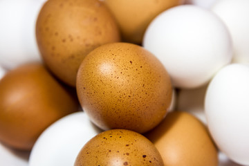 eggs in a bowl
