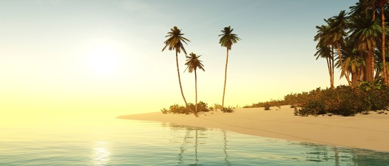 Beach with palm trees at sunset, tropical sea coast at sunset © ustas