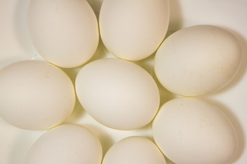 eggs in bowl isolated on white