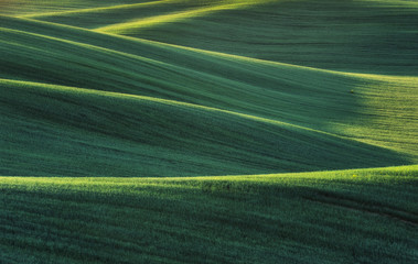 hilly field. picturesque hills. abstract spring field