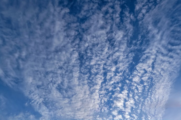 The sky with light white clouds illuminated by the setting sun