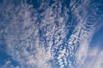 The sky with light white clouds illuminated by the setting sun