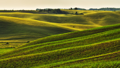 hilly field. picturesque hills. abstract spring field