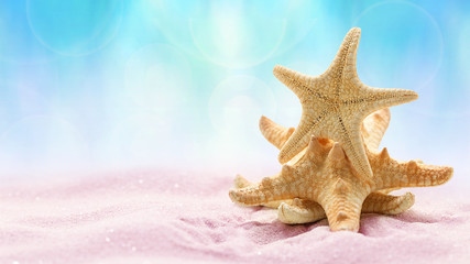 Fototapeta na wymiar Sea starfish on beach in pink sand. Beach holiday, summertime background. Panoramic banner.
