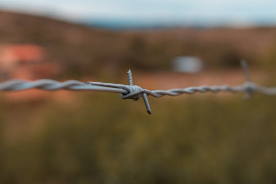 Alambre de puas en campo
