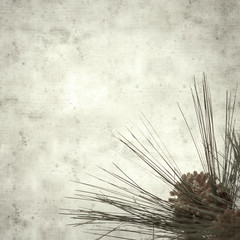  old paper background