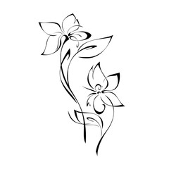 two stylized flowers on stems with leaves in black lines on a white background