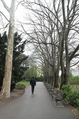 Obraz premium Tulips from Belgrade - Serbia 