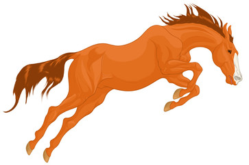 Sorrel stallion overcomes an obstacle in a powerful jump, craned its neck forward, laid his ears back. Illustration of a running steed with a blaze face marking. Vector clip art for show jumping club.