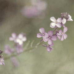  old paper background