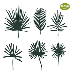 Tropical doodle Palm tree and ficus leaves collection. Set of vector isolated silhouettes on white background