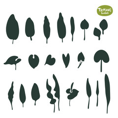 Tropical doodle leaves collection. Set of vector isolated silhouettes on white background