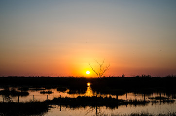 Fototapeta na wymiar sunset on river