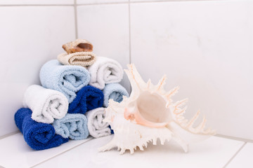Fototapeta na wymiar Large Seashell Bath Towels