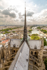Notre Dame Cathedral and Seine River - View of the spire, roof, and flying buttresses of Notre Dame Cathedral, with the Seine River in the background. Paris, France