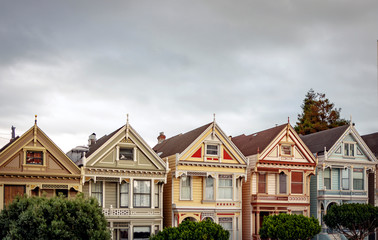 View of the famous Painted Ladies in Alamo Square in San Francisco