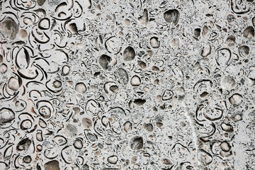 white and gray texture, street concrete slabs with impurities of shells 