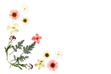 Background made from pressed flowers