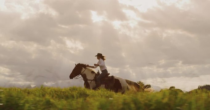 Amazing slow motion horseback riding at sunset, cowgirl riding fast through green fields, horse galloping