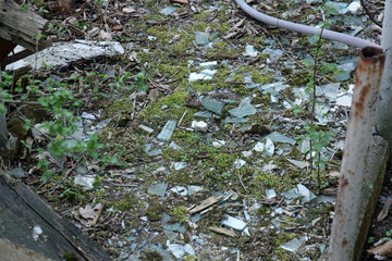 Glasscherben am Boden