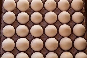 Many white chicken eggs on cardboard and with shadows