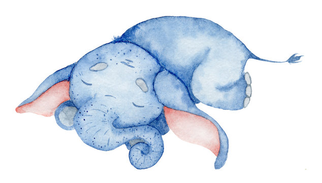 Watercolor cute sleeping elephant animal illustration