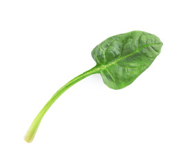 Fresh leaf of spinach isolated on white, top view