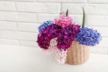 Beautiful hyacinths in wicker pot on table against brick wall, space for text. Spring flowers