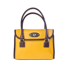 bag or women bag with concept on background.