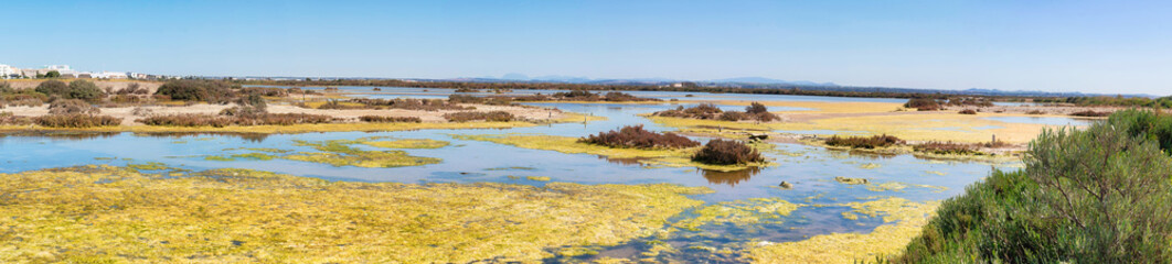 Marshes and footpaths of Caño Carrascon, in the natural park of San Fernando, town of the province of Cadiz, Spain © juanorihuela