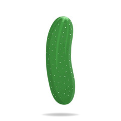 Fresh Cucumber Vegetable isolated on white background. Cucumber Icon for Farm, Market, Recipe Design. Organic Food. Cartoon Style. Vector illustration for Your Design, Web.