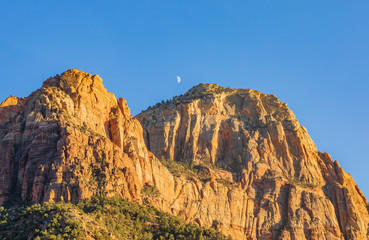 Scenic Zion National Park Landscape