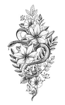 Hand Drawn Monochrome Snake among  Flowers