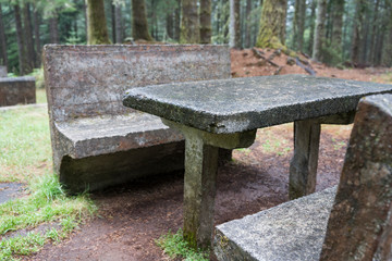 Recreation area in the relic forest. In the foreground there is a table and benches made of concrete, in the background there is a forest.