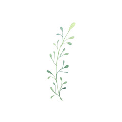 Hand drawn watercolor green twig